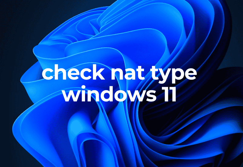 check nat type windows 11